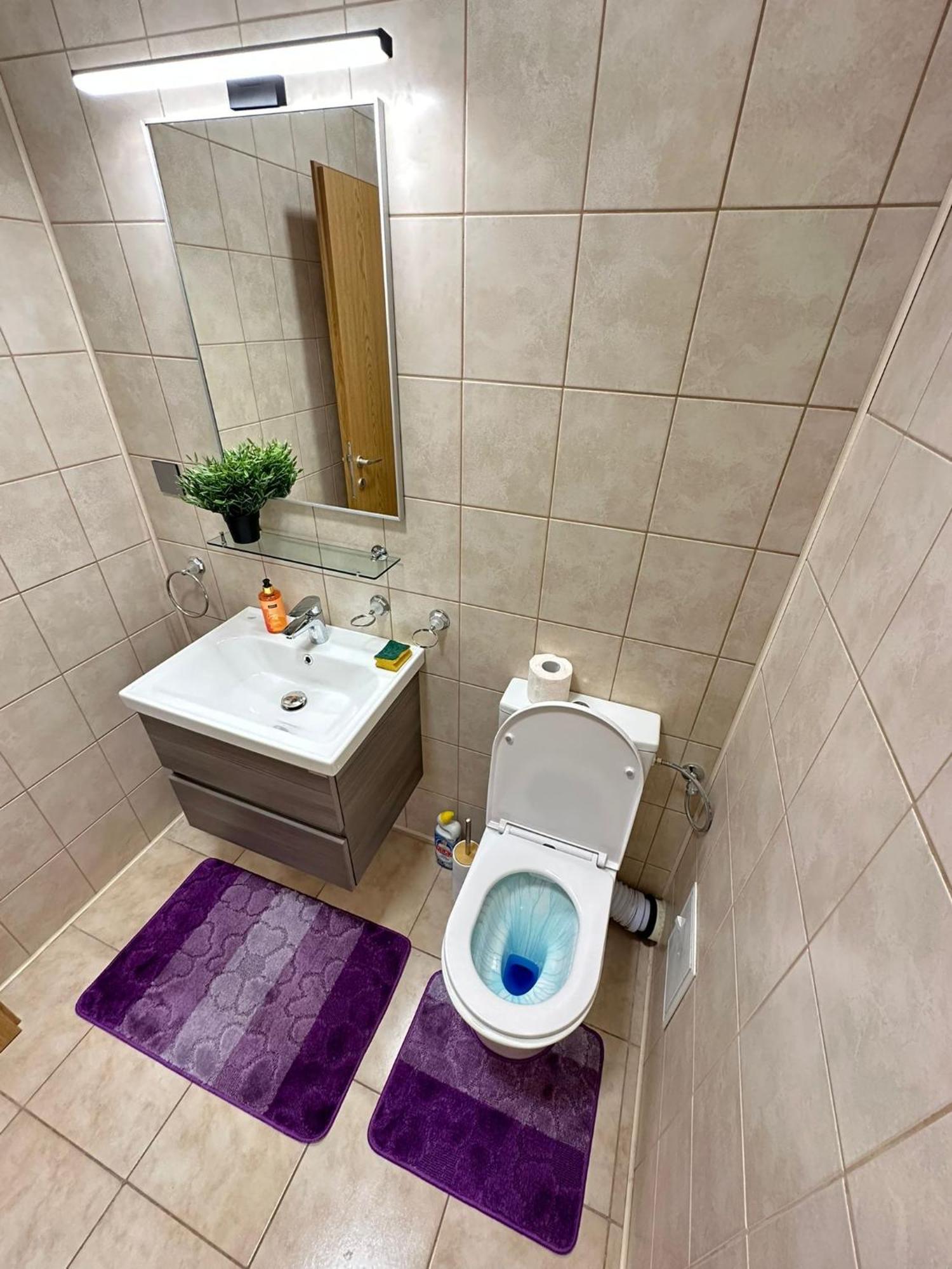 Centru Unirii Luxury Vip Palmier Apartament 2 Camere Cu Terasa Exterioara Amenajata ! Parcare Subterana Privata Climatizata Si Supravegheata Video Dar Doar Cu Rezervare In Limita Locurilor Disponibile !Proprietate In Regim Hoteliep - Nu Are Bucatarie Boekarest Buitenkant foto