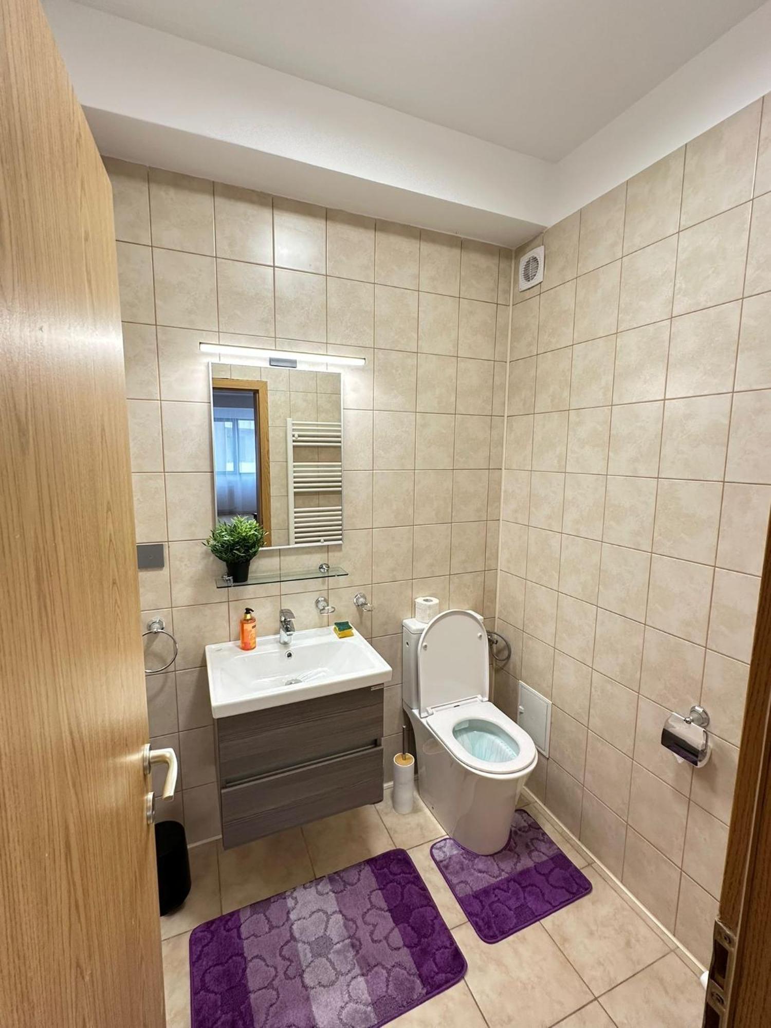 Centru Unirii Luxury Vip Palmier Apartament 2 Camere Cu Terasa Exterioara Amenajata ! Parcare Subterana Privata Climatizata Si Supravegheata Video Dar Doar Cu Rezervare In Limita Locurilor Disponibile !Proprietate In Regim Hoteliep - Nu Are Bucatarie Boekarest Buitenkant foto